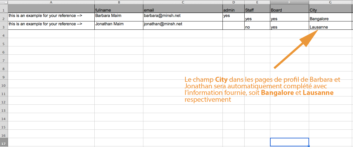 Ajoutez une colonne pour les champs supplémentaires et renseignez-y les données de vos membres